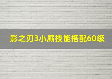 影之刃3小厮技能搭配60级