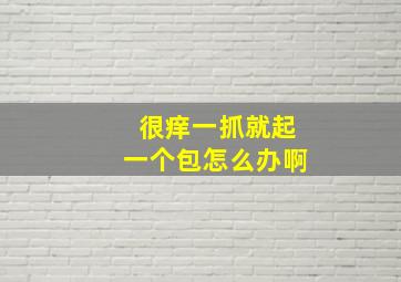 很痒一抓就起一个包怎么办啊