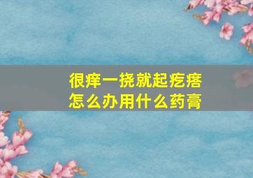 很痒一挠就起疙瘩怎么办用什么药膏