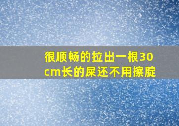 很顺畅的拉出一根30cm长的屎还不用擦腚