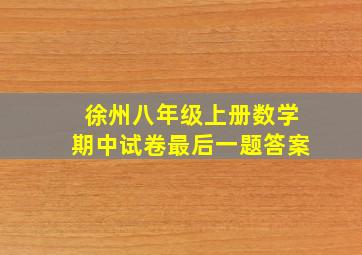 徐州八年级上册数学期中试卷最后一题答案