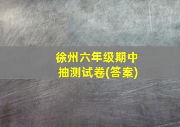 徐州六年级期中抽测试卷(答案)