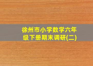 徐州市小学数学六年级下册期末调研(二)