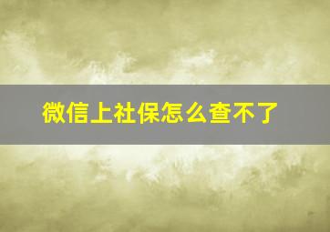 微信上社保怎么查不了