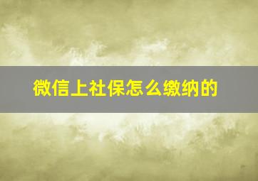 微信上社保怎么缴纳的