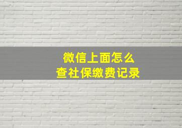 微信上面怎么查社保缴费记录