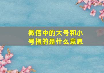 微信中的大号和小号指的是什么意思