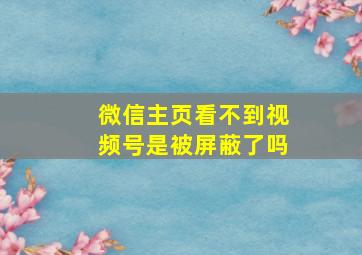 微信主页看不到视频号是被屏蔽了吗