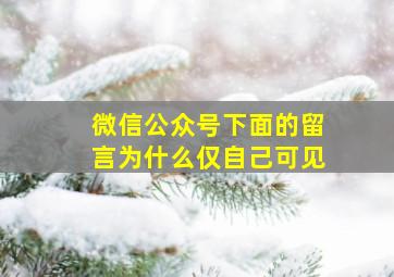 微信公众号下面的留言为什么仅自己可见