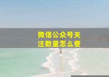 微信公众号关注数量怎么查