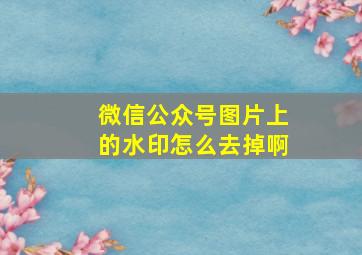 微信公众号图片上的水印怎么去掉啊