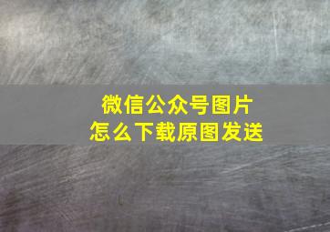 微信公众号图片怎么下载原图发送