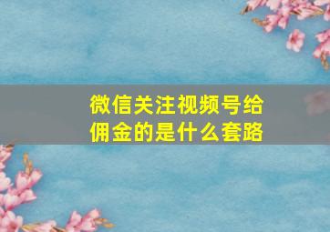 微信关注视频号给佣金的是什么套路