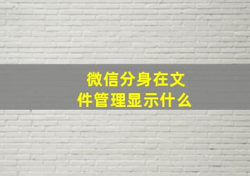 微信分身在文件管理显示什么