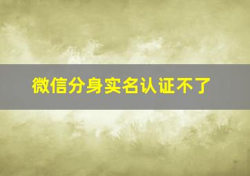 微信分身实名认证不了