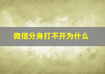 微信分身打不开为什么