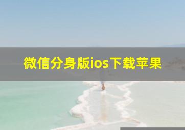 微信分身版ios下载苹果