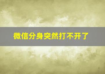 微信分身突然打不开了