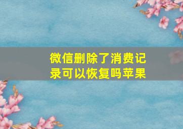 微信删除了消费记录可以恢复吗苹果