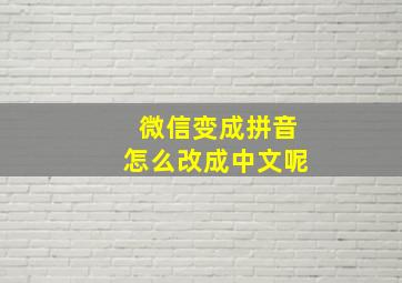 微信变成拼音怎么改成中文呢