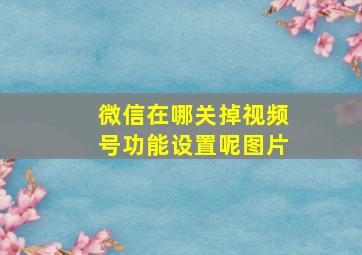 微信在哪关掉视频号功能设置呢图片