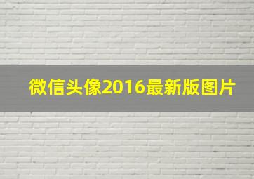 微信头像2016最新版图片