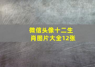 微信头像十二生肖图片大全12张