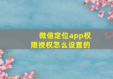 微信定位app权限授权怎么设置的