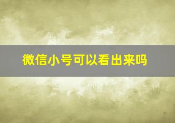 微信小号可以看出来吗