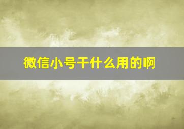 微信小号干什么用的啊