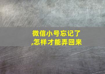 微信小号忘记了,怎样才能弄回来