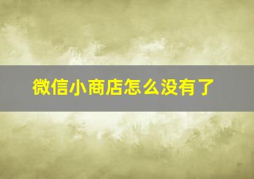 微信小商店怎么没有了