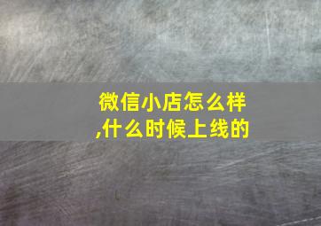 微信小店怎么样,什么时候上线的