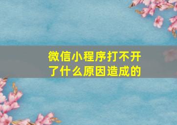 微信小程序打不开了什么原因造成的