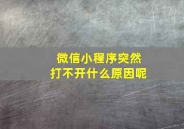 微信小程序突然打不开什么原因呢