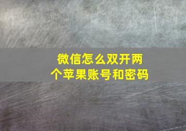 微信怎么双开两个苹果账号和密码