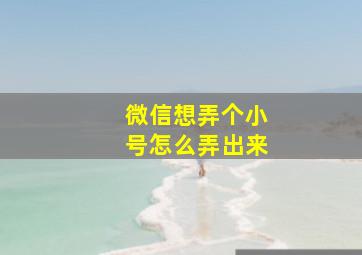 微信想弄个小号怎么弄出来