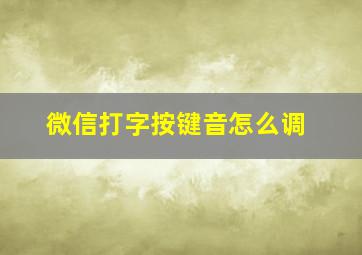 微信打字按键音怎么调