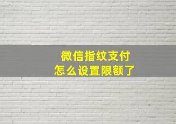 微信指纹支付怎么设置限额了