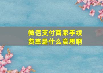 微信支付商家手续费率是什么意思啊