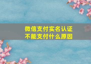 微信支付实名认证不能支付什么原因