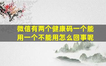 微信有两个健康码一个能用一个不能用怎么回事呢