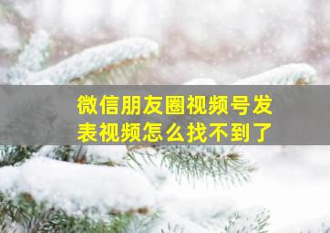 微信朋友圈视频号发表视频怎么找不到了