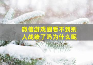 微信游戏圈看不到别人战绩了吗为什么呢