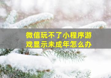 微信玩不了小程序游戏显示未成年怎么办