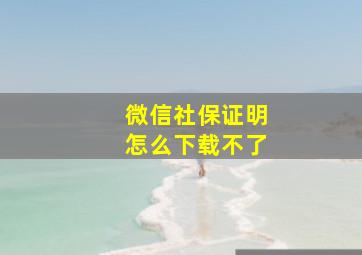 微信社保证明怎么下载不了