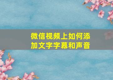 微信视频上如何添加文字字幕和声音