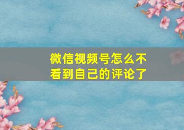 微信视频号怎么不看到自己的评论了