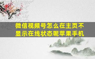 微信视频号怎么在主页不显示在线状态呢苹果手机