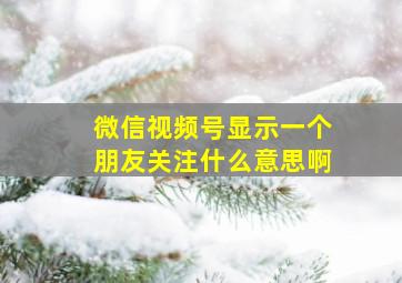 微信视频号显示一个朋友关注什么意思啊